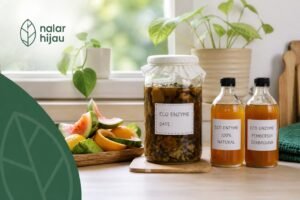 Cara Buat Eco Enzyme di Rumah Panduan Lengkap & Mudah2