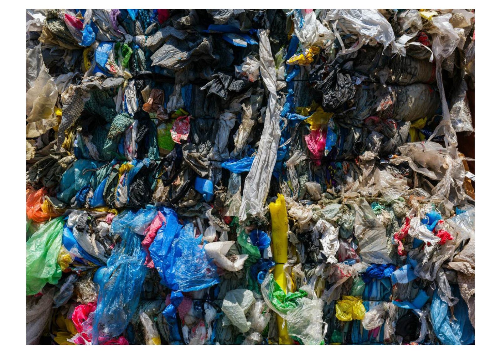 pengganti plastik wrap ramah lingkungan